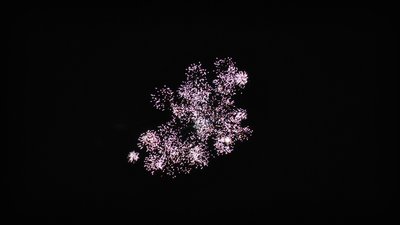 #15221 罗马烛光 1.2" 8 发数