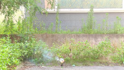 #15743 Дым Torch 35sec