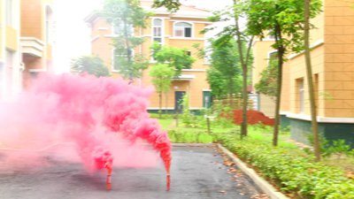 #15665 Дым Torch 30sec