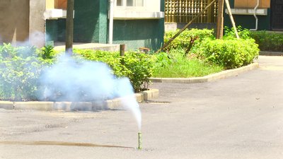 #15831 Smoke Torch 60sec