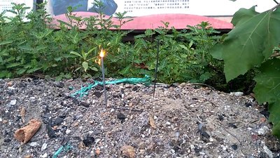 #15434 Feu de Bengale 160 mm