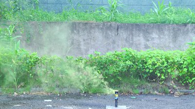 #15743 Дым Torch 35sec