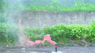 #15743 Дым Torch 35sec