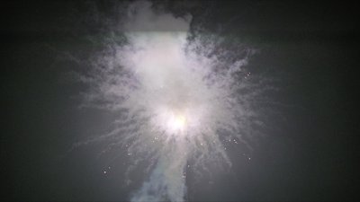 #16801 盆花1.2 25发数