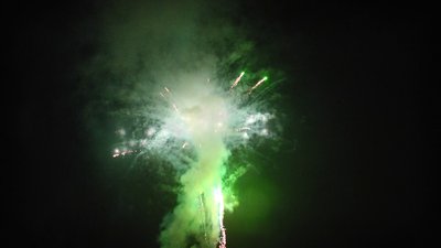 #16802 盆花1.2 49发数