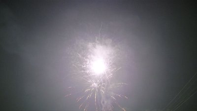 #16767 盆花1.2 37发数