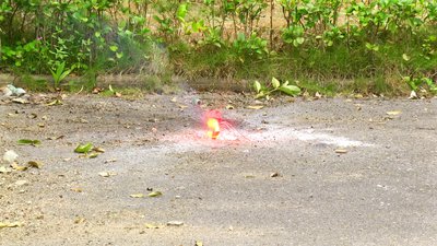 #17185 Fire Torch 900sec