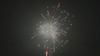 #17259 盆花1.2 19发数