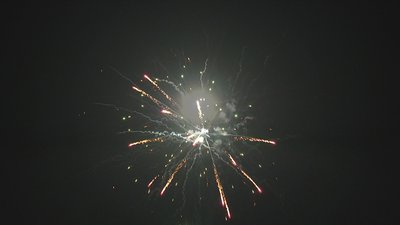 #17258 盆花1.0 25发数