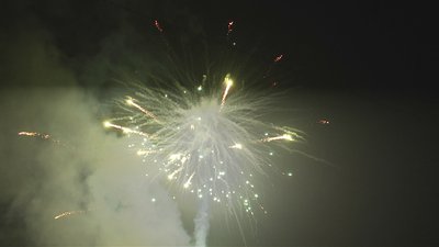 #17271 盆花1.2 36发数