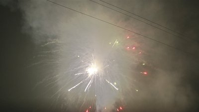 #17272 盆花1.2 49发数