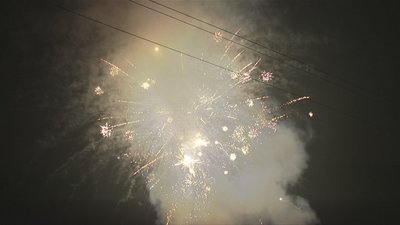 #17273 盆花1.2 100发数