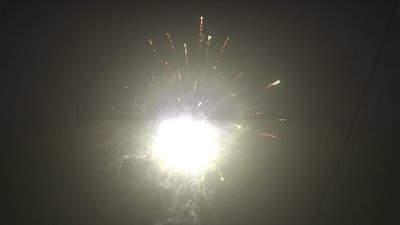 #17442 盆花1.2 25发数