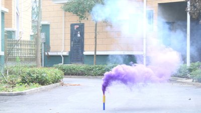 #17658 Smoke Torch 35sec