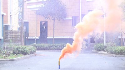 #17658 Smoke Torch 35sec