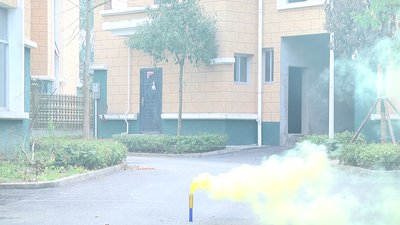 #17657 Smoke Torch 30sec