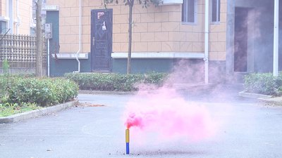 #17657 Smoke Torch 30sec
