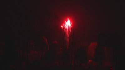 #17884 Одиночный выстрел 1.75"