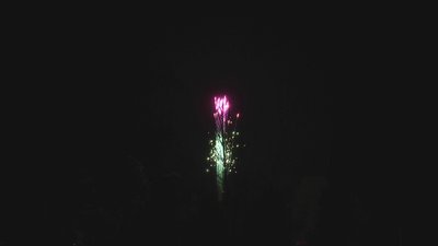 #17886 Одиночный выстрел 1.75"