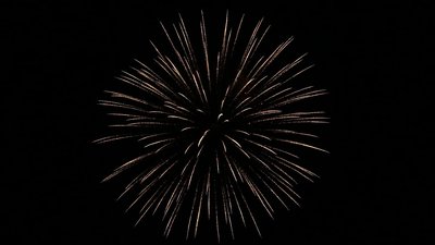 #17972 Bomba 6.0"