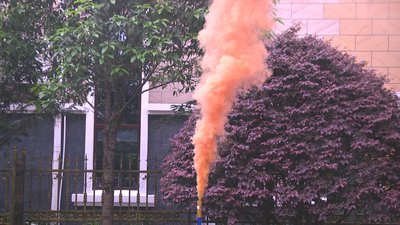 #17190 Smoke Torch 60sec