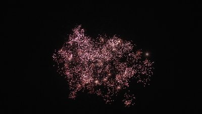 #18943 Modulable Compact 1.0 49 coups