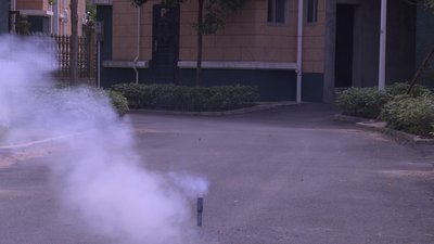 #17190 Smoke Torch 60sec
