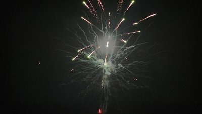 #17335 盆花1.0 36发数