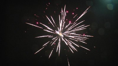 #20450 Фестивальные шары 1.75" 24 шаров.