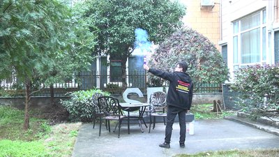 #22670 Fumée Torche