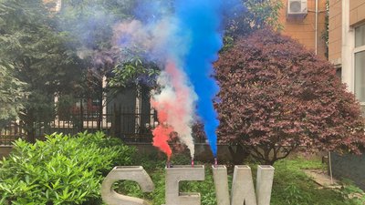 #22570 Smoke Torch 60sec