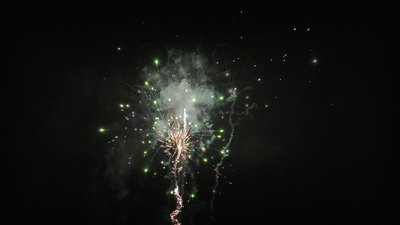 #25245 盆花1.0 49发数