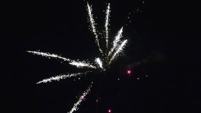 #25703 Módulo Tortas 1.2 49 tiros