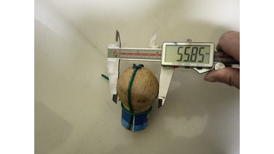#26165 Festival shells 2.2" 6 balls