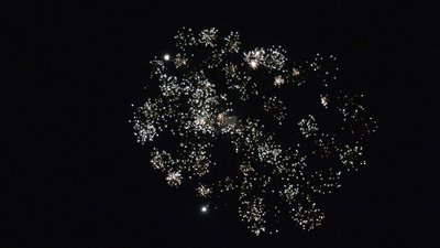#26166 Festival shells 1.75" 6 balls
