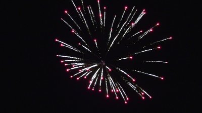 #26166 Festival shells 1.75" 6 balls