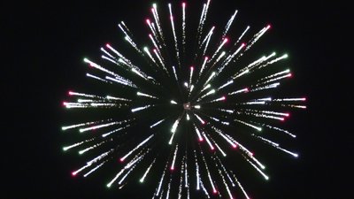 #26165 Festival shells 2.2" 6 balls