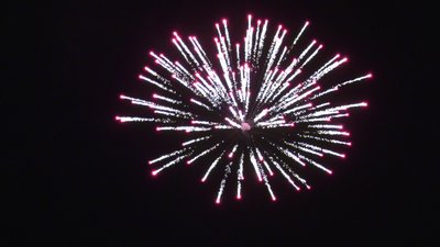 #26166 Festival shells 1.75" 6 balls