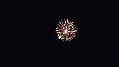 #26165 Festival shells 2.2" 6 balls
