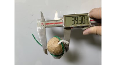 #26169 Festival shells 1.5" 6 balls