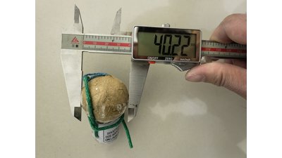 #26170 Festival shells 1.5" 6 balls