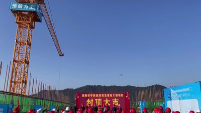 #26305 Smoke Cake 1.2" 25.0 shots