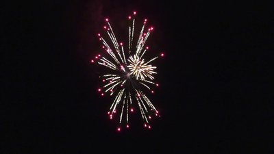 #26334 Festival shells 1.5" 6 balls