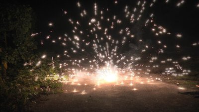 #26438 Flower King  (ground spinner)
