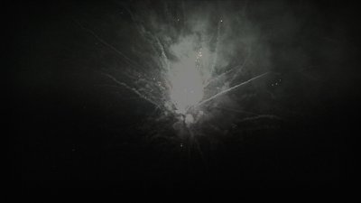 #25803 Module Cakes 1.1 36 shots