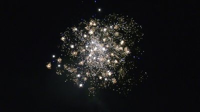 #25661 Module Cakes 0.8 25 shots