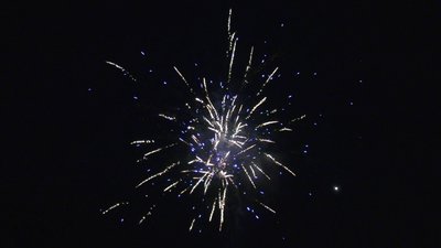 #25666 Módulo Tortas 1.2 49 tiros