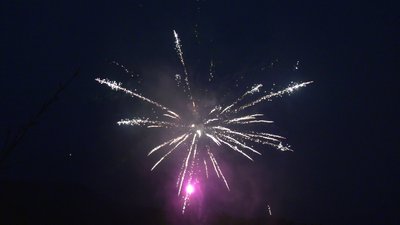 #25667 Módulo Tortas 1.2 49 tiros