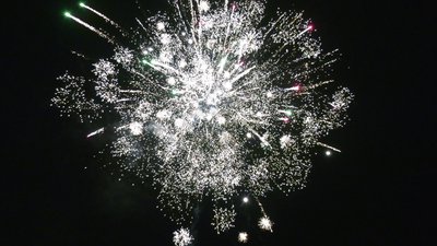 #26147 盆花80x0.8"/60x1.0"/40x1.2" 180发数