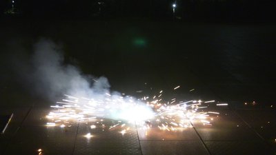 #27197 Lotus Fairy